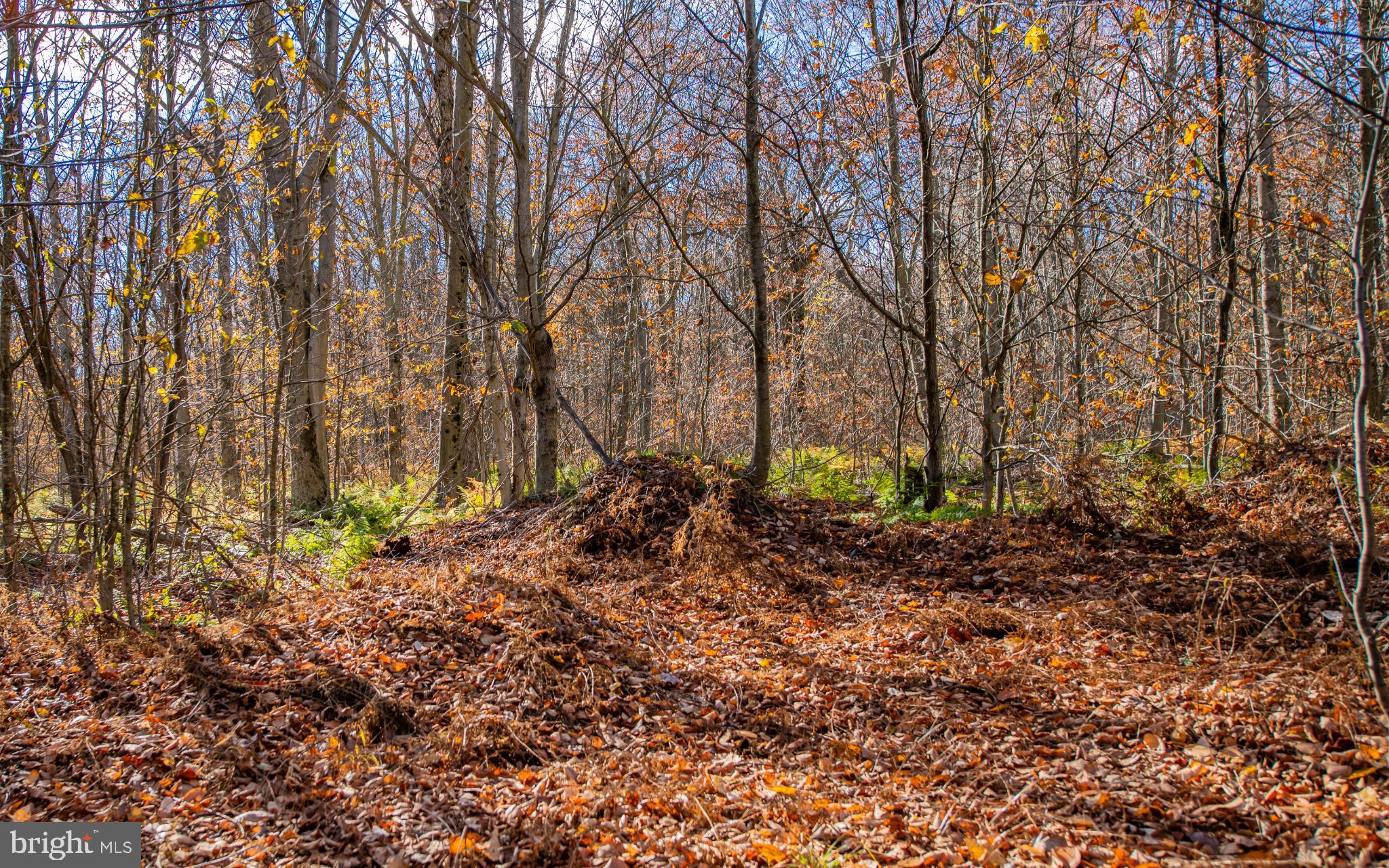 Parcel 030 GLORY RIDGE ROAD