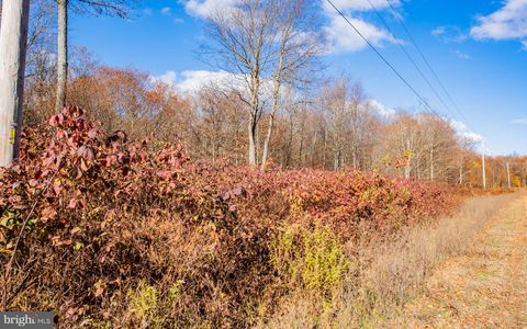 Parcel 030 GLORY RIDGE ROAD SHUNK PA 17768