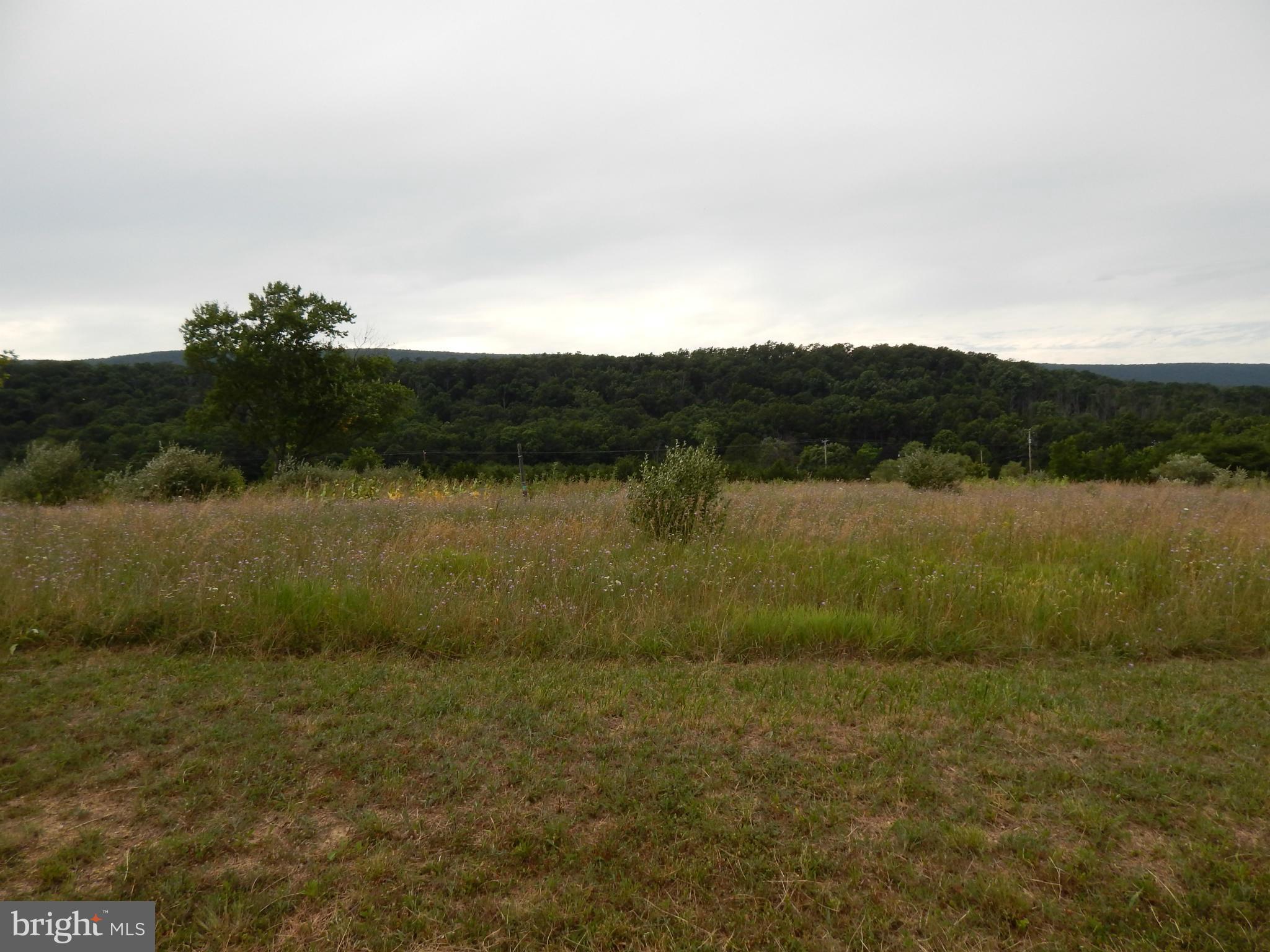 OAKLAND OVERLOOK - Land