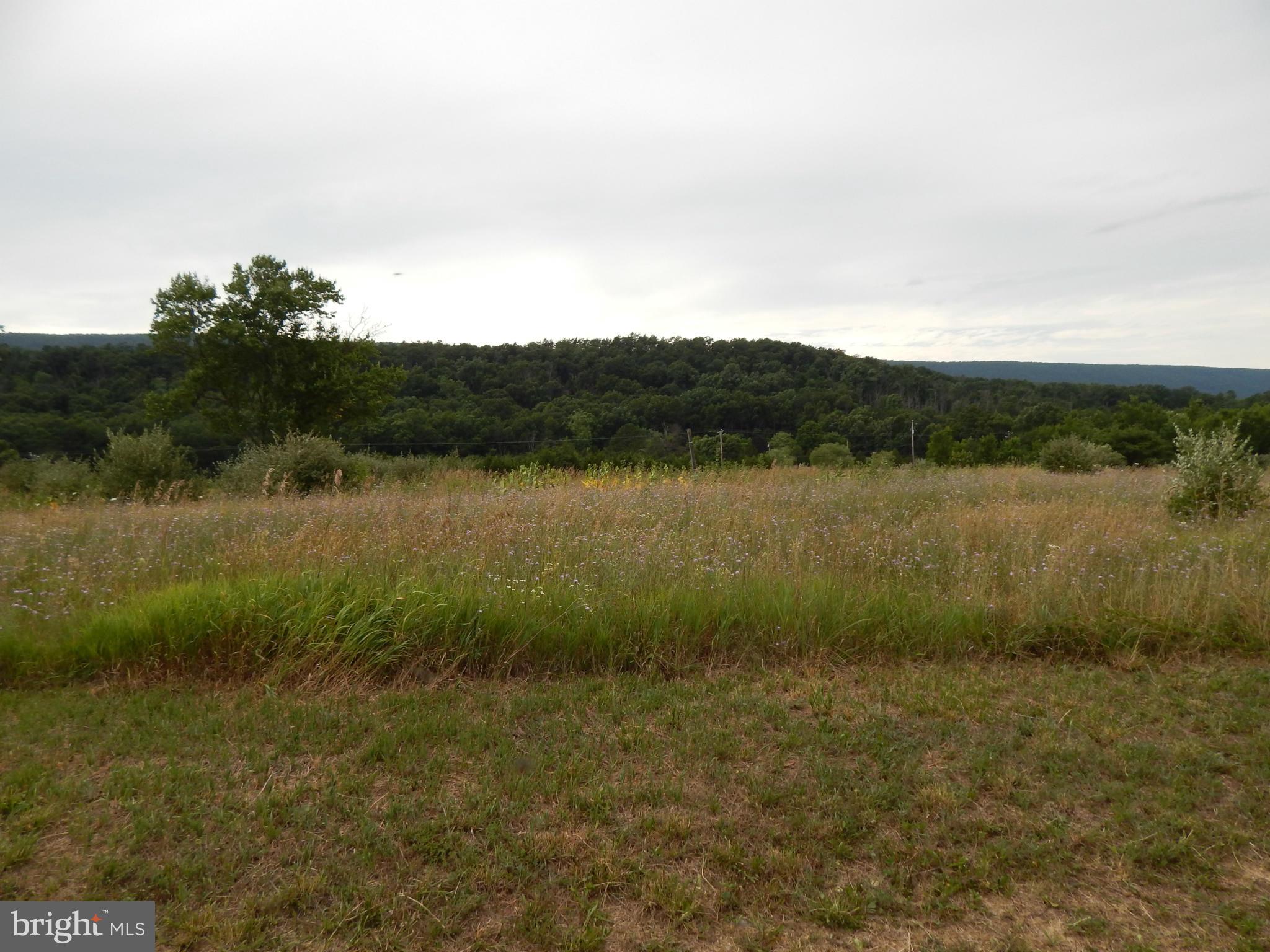 OAKLAND OVERLOOK - Land