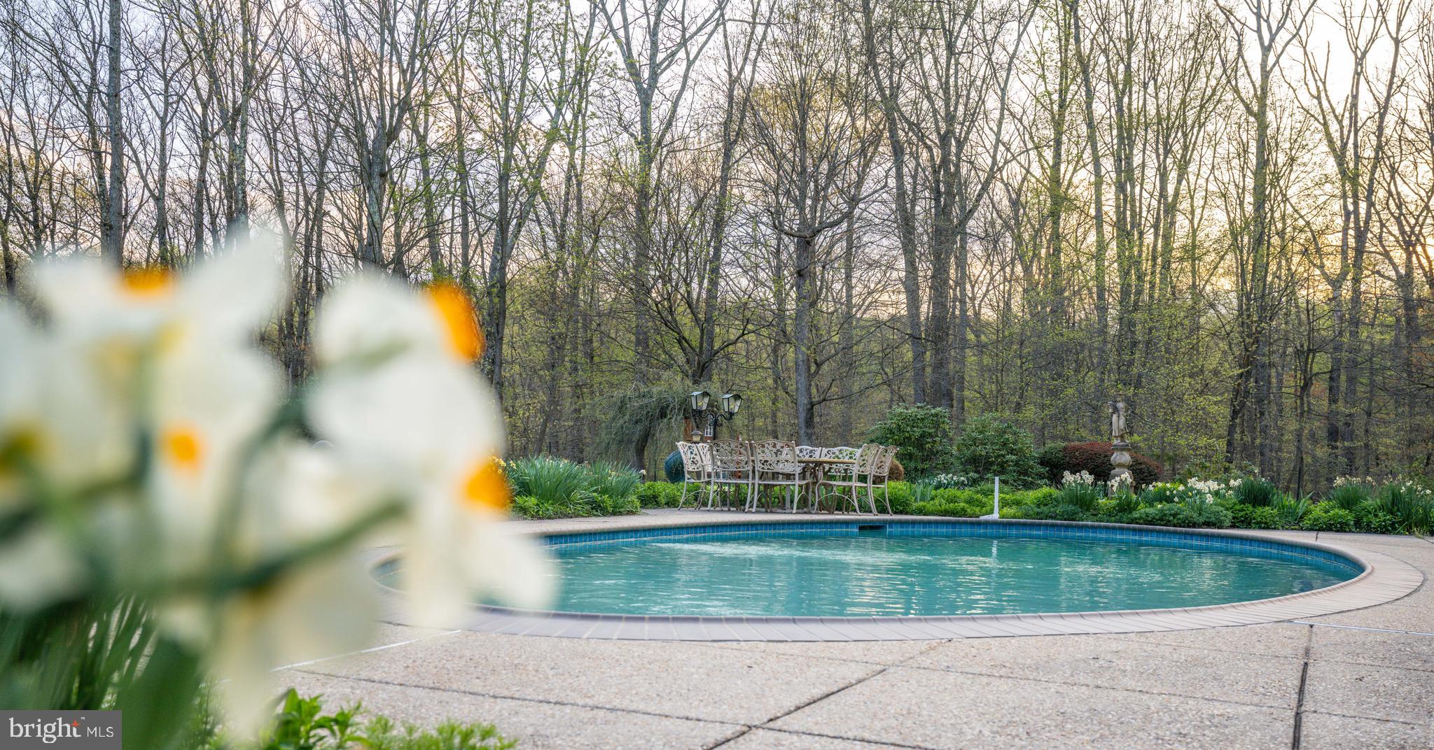 IVY HILL - Residential