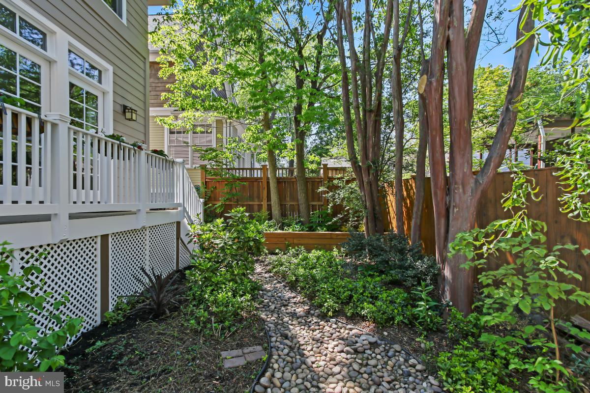 ROSEDALE PARK - Residential