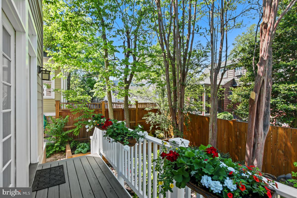 ROSEDALE PARK - Residential