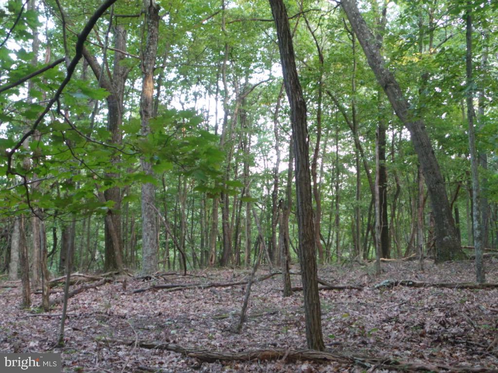 RED BUD RIDGE - Land