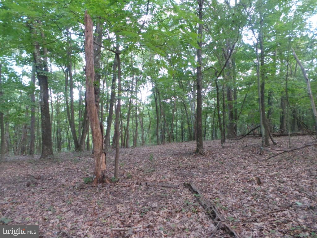 RED BUD RIDGE - Land