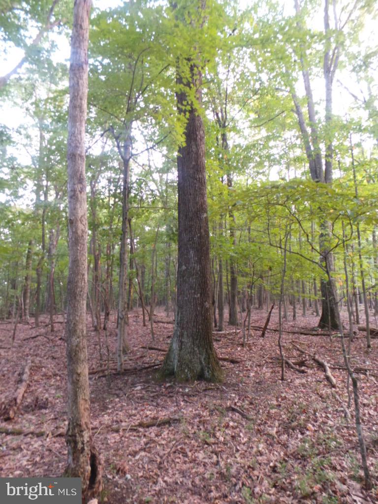 RED BUD RIDGE - Land