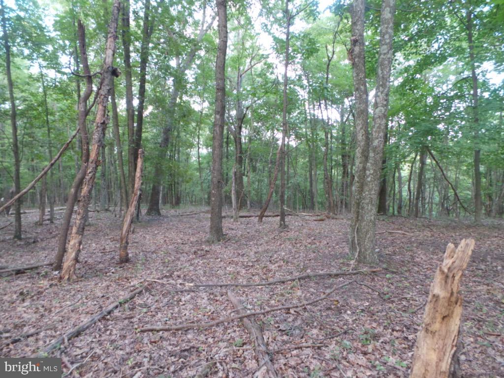 RED BUD RIDGE - Land