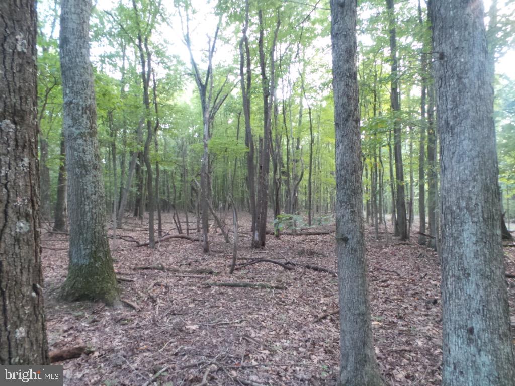 RED BUD RIDGE - Land