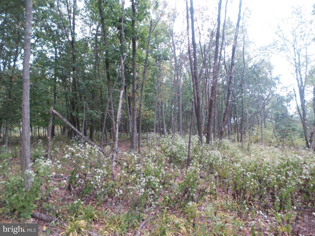 RED BUD RIDGE - Land