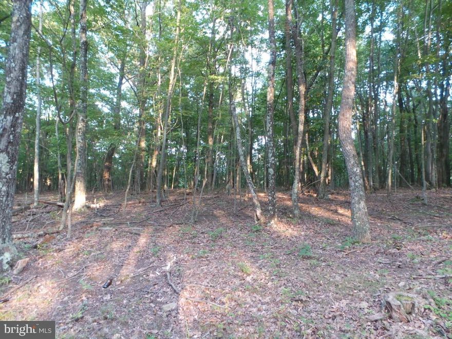 Nice parcel of land, not too far out. Good bit of road frontage that gives you easy access to a state maintained road..Only two restrictions, no single wide mobile homes and no unlicensed, abandoned or junk vehicles. Bring your 4 wheeler, tent and hunting friends and spend the weekend..