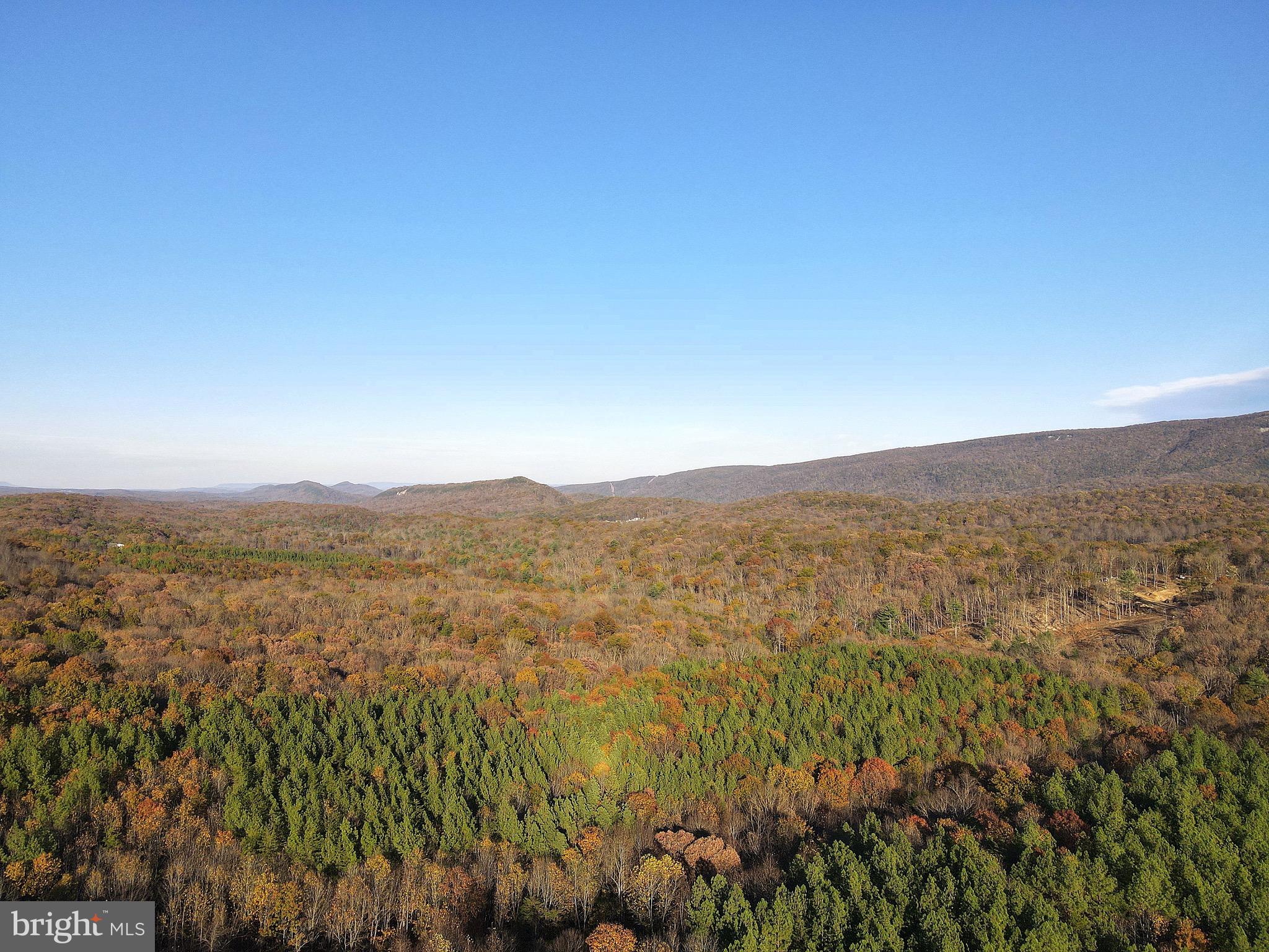 RED BUD RIDGE - Land