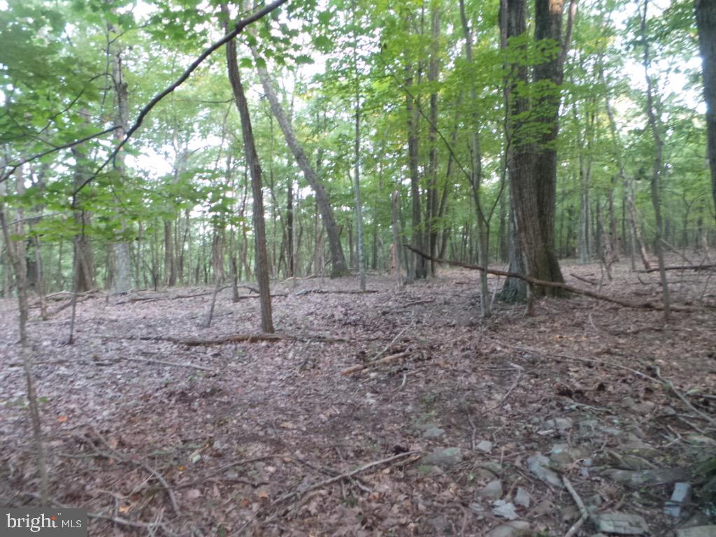 RED BUD RIDGE - Land