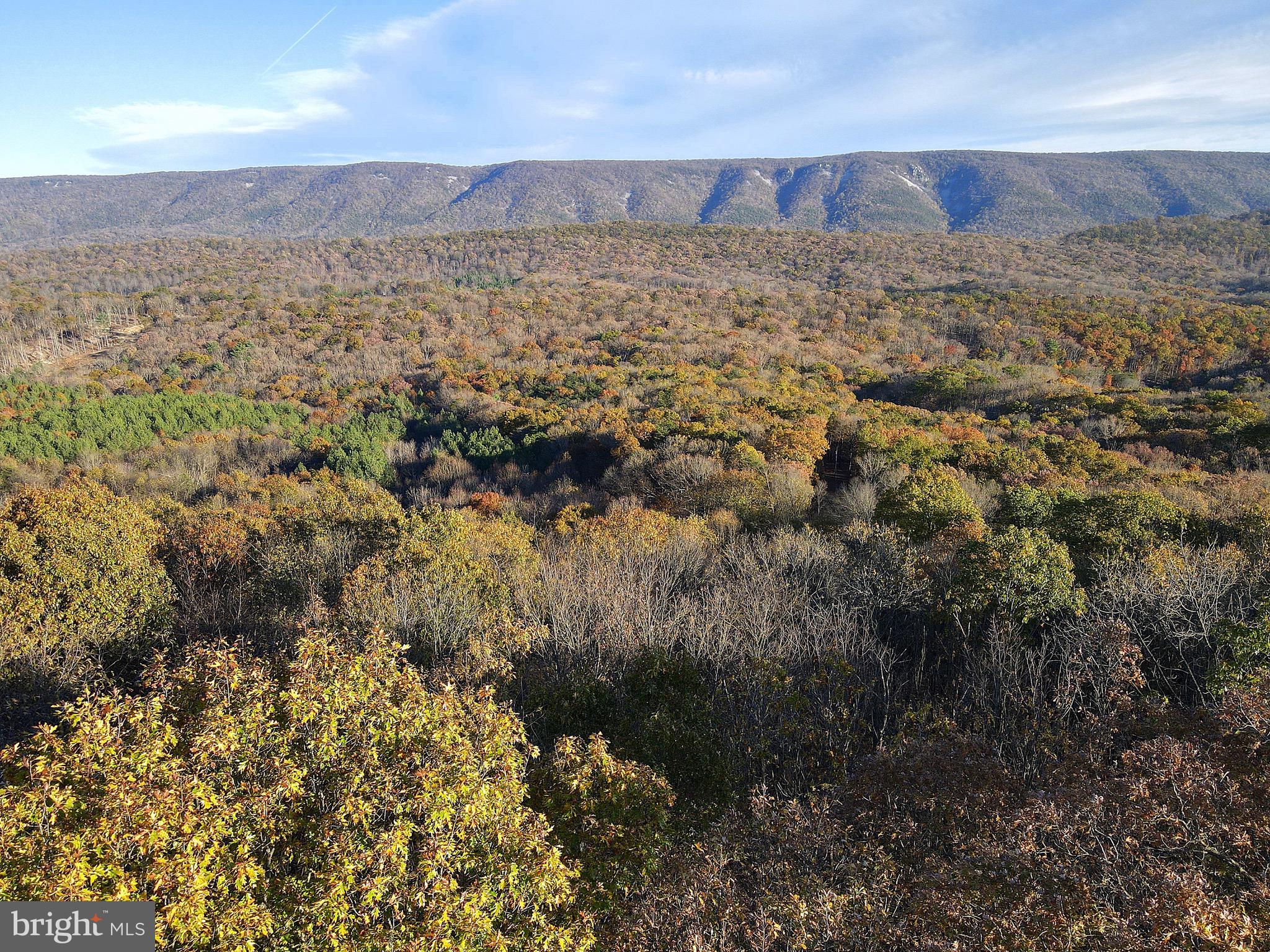 RED BUD RIDGE - Land