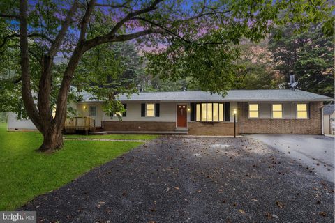 1390 W ROUTE 97 SYKESVILLE MD 21784