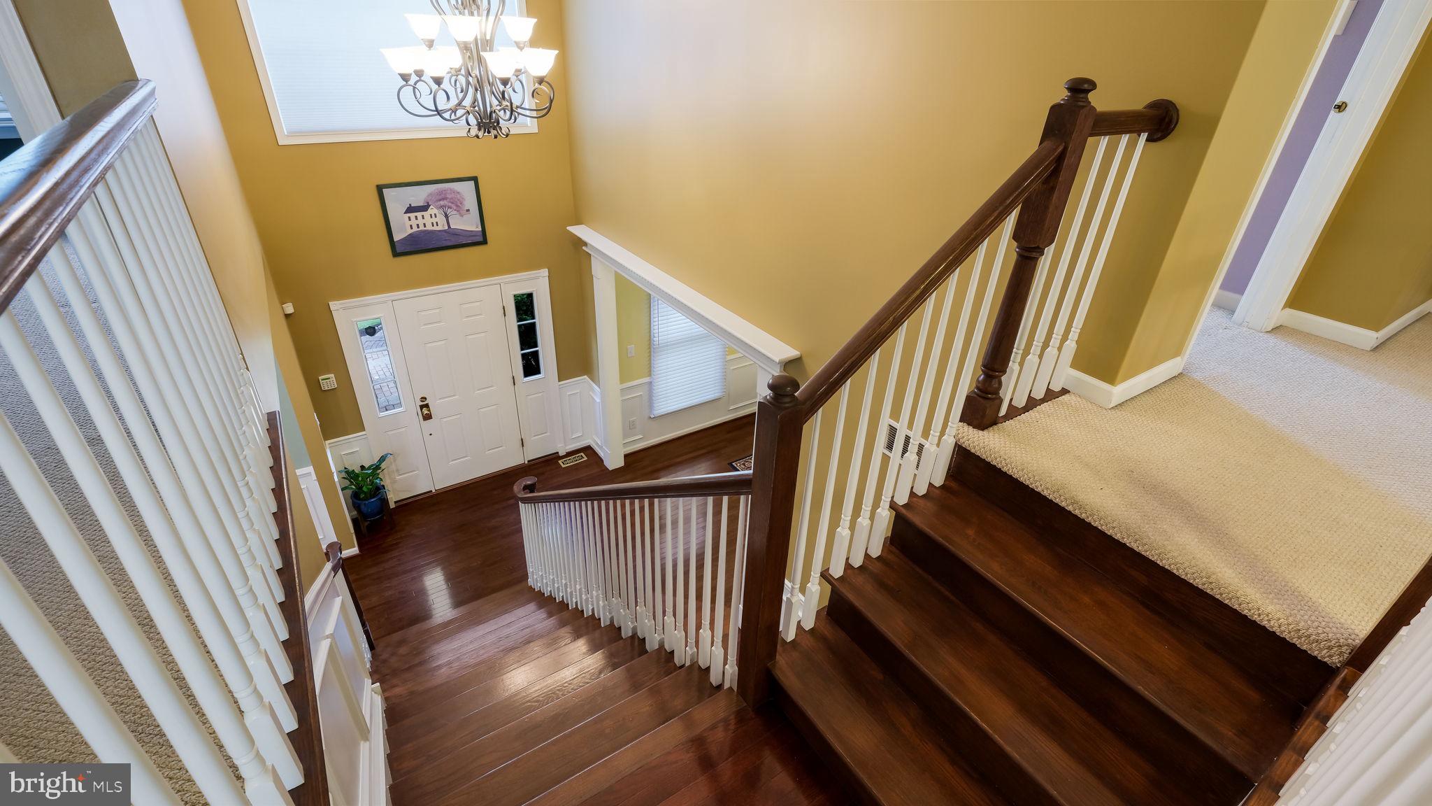 BUCKINGHAM FOREST - Residential