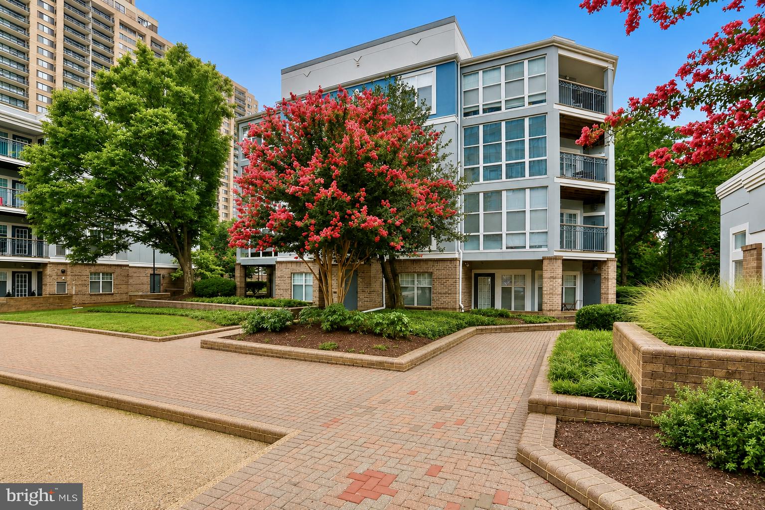 5565 SEMINARY ROAD 314