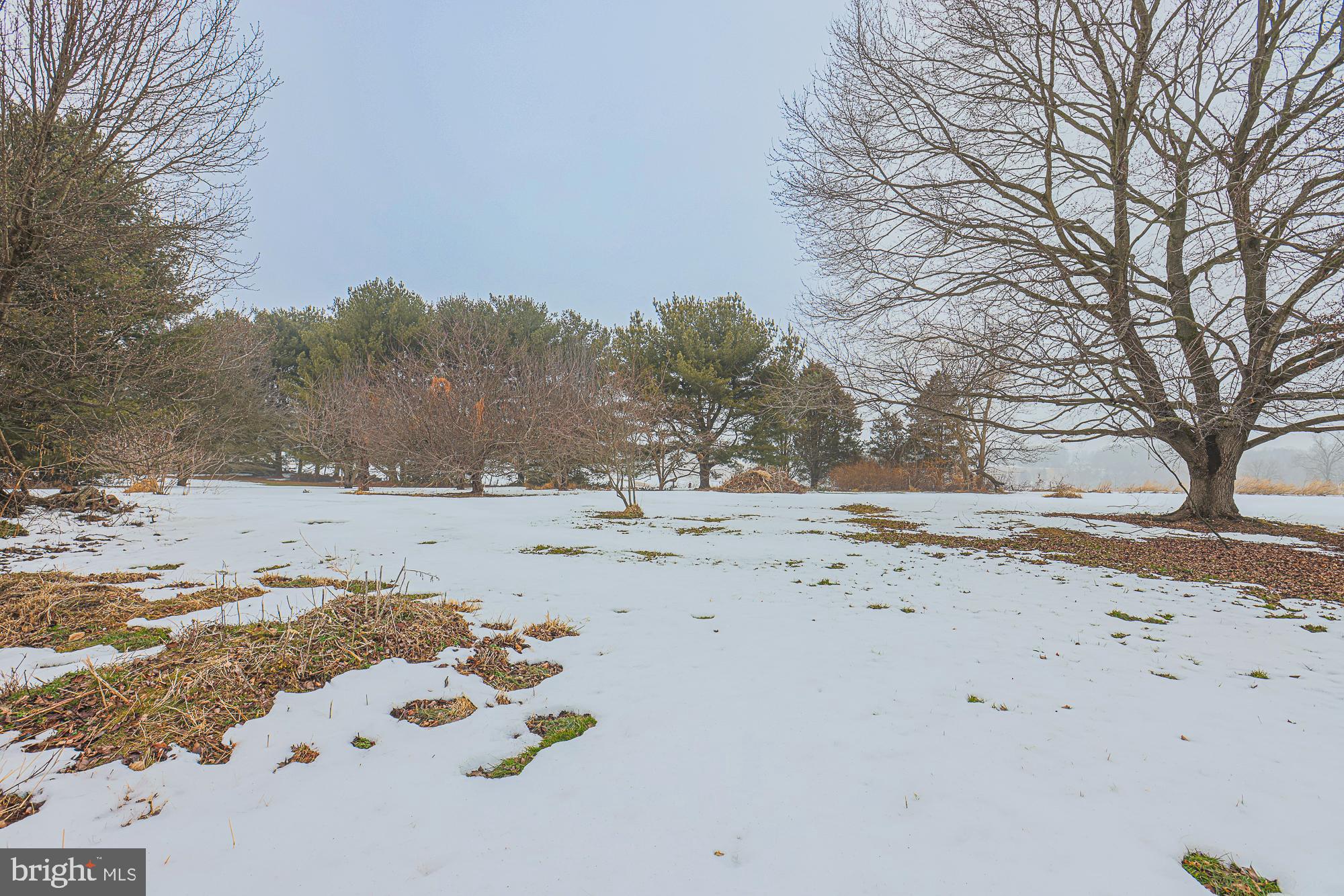 CECIL C - Residential