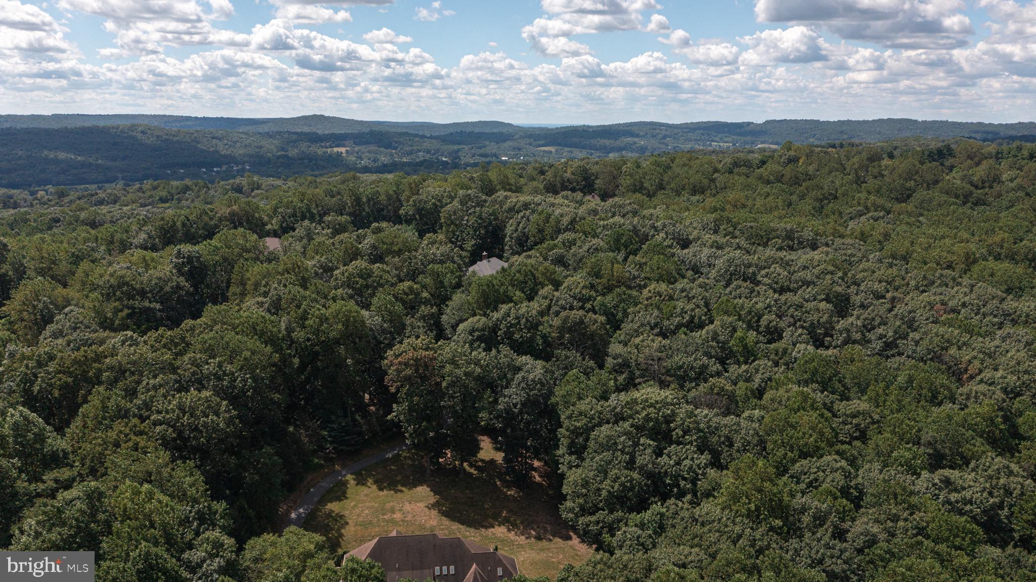 ANGELICA WOODS - Residential