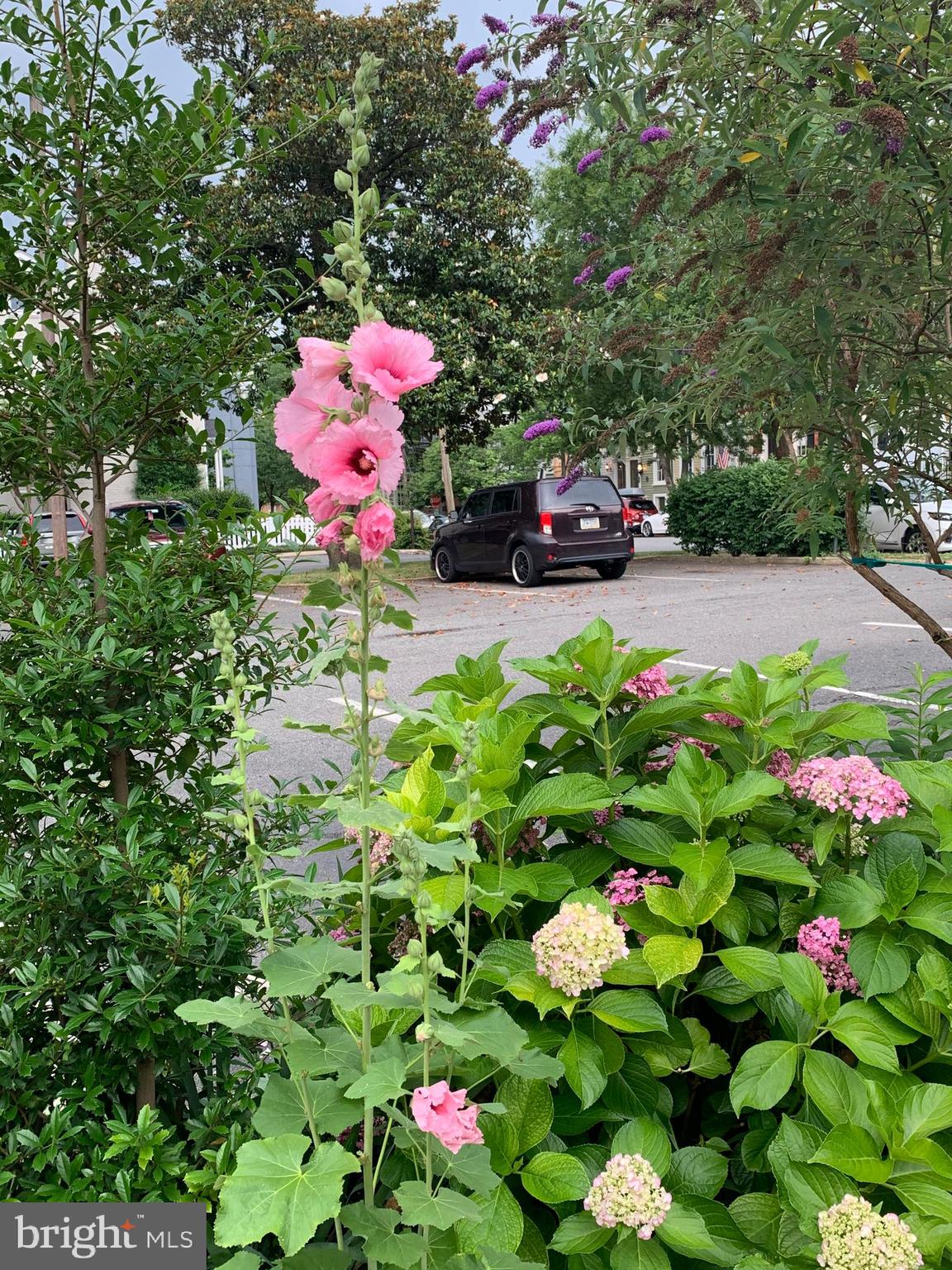 OLD TOWN - Residential