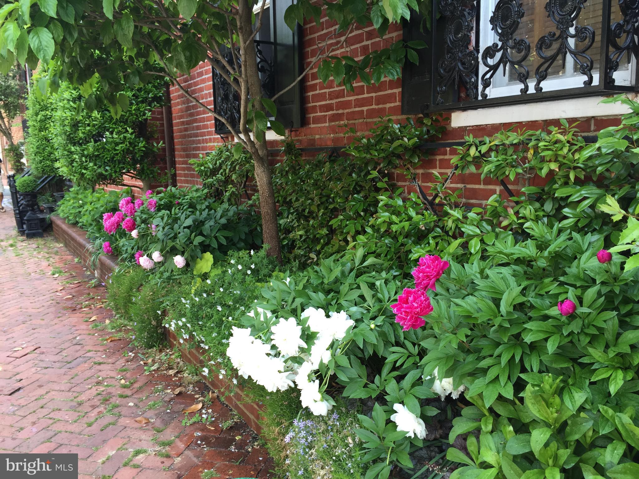 OLD TOWN - Residential