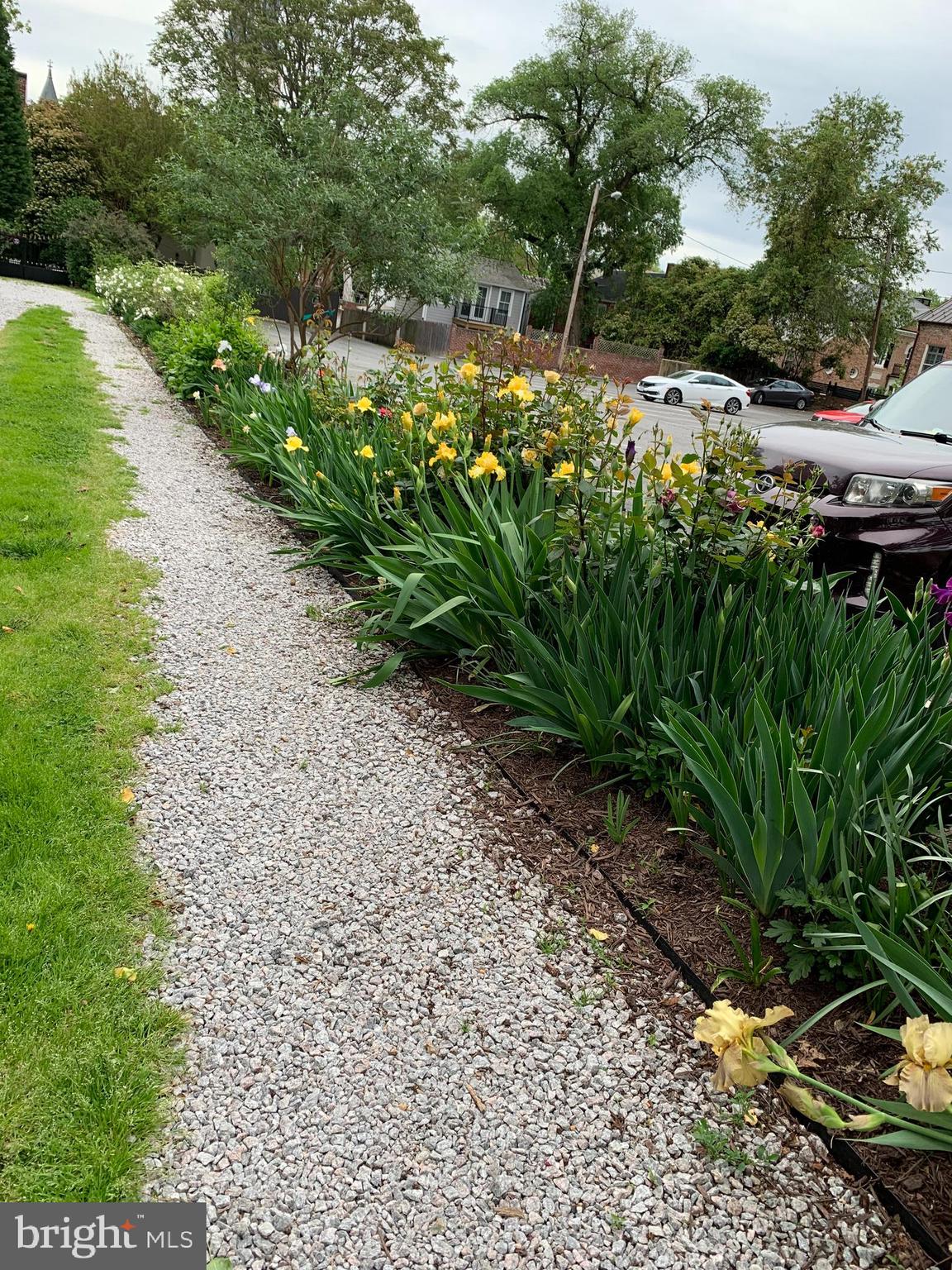 OLD TOWN - Residential