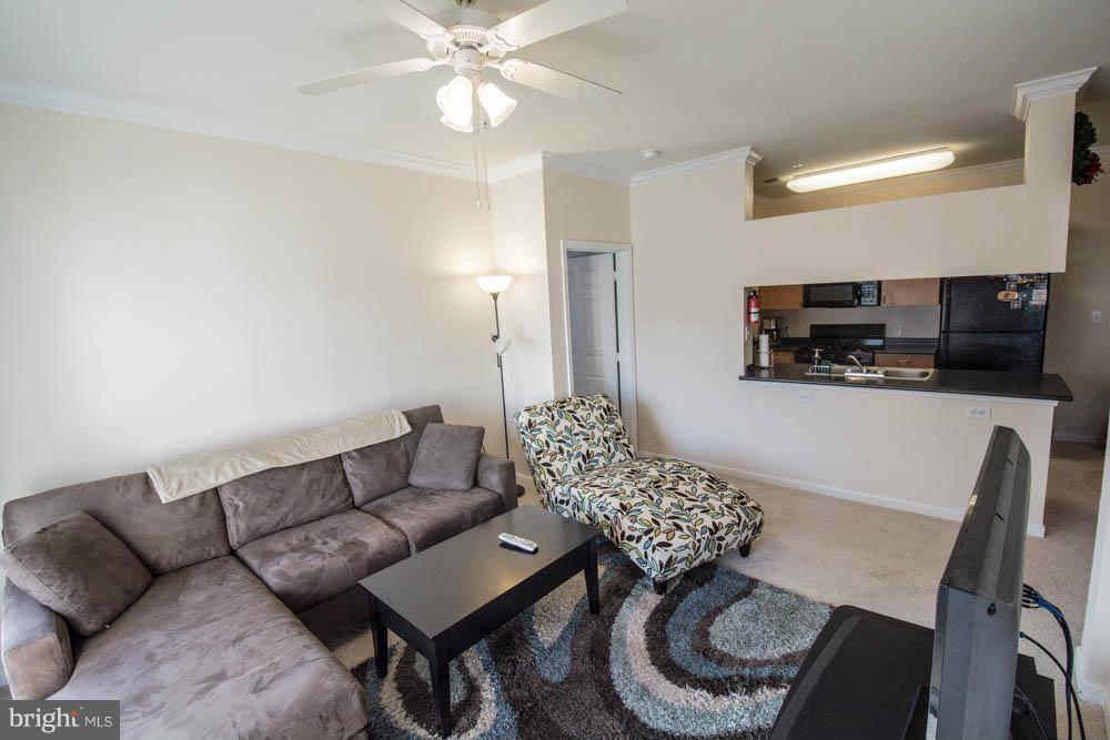 THE ASHMORE - Residential