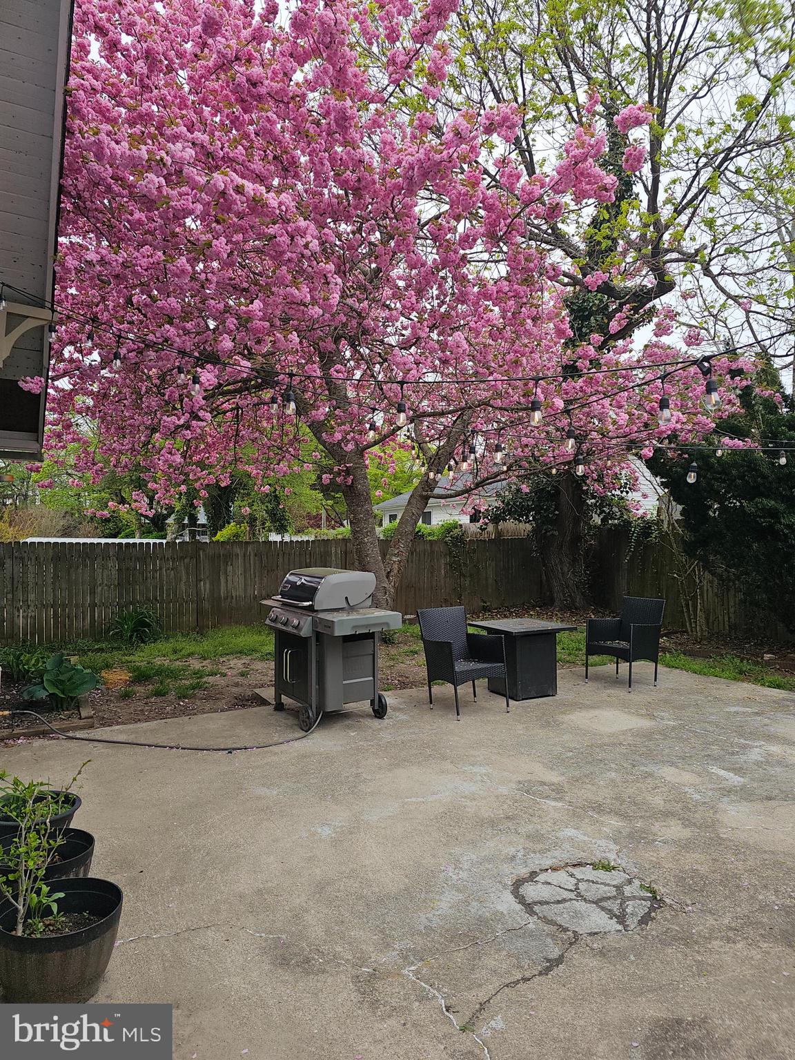 216 MARLIN ROAD
