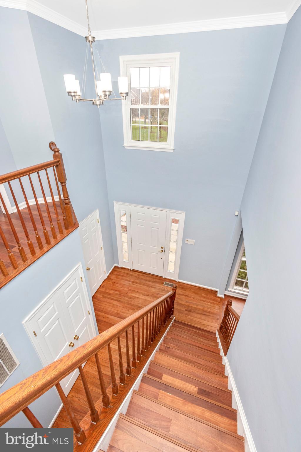 MONTGOMERY MEADOWS - Residential