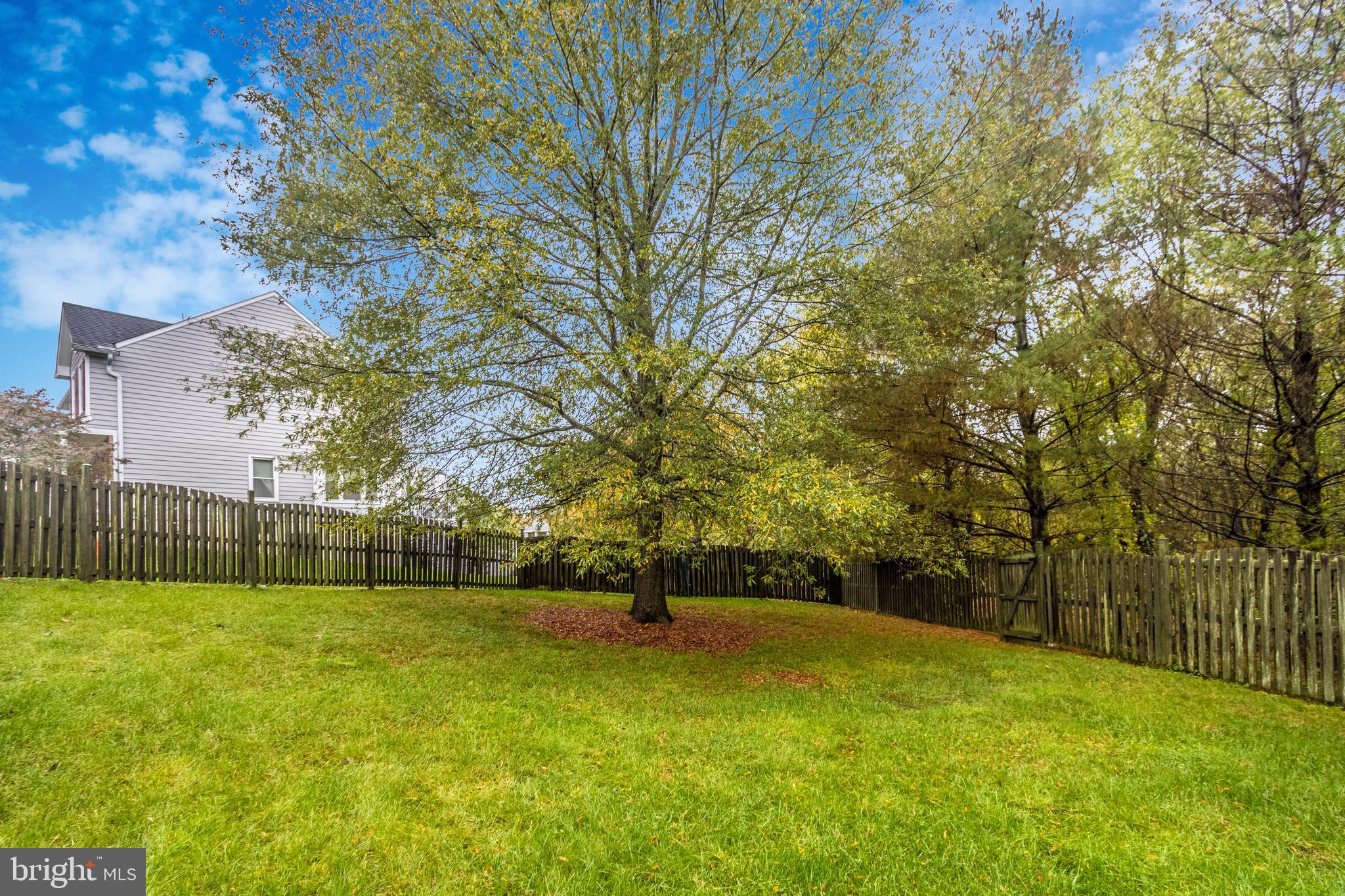 MONTGOMERY MEADOWS - Residential