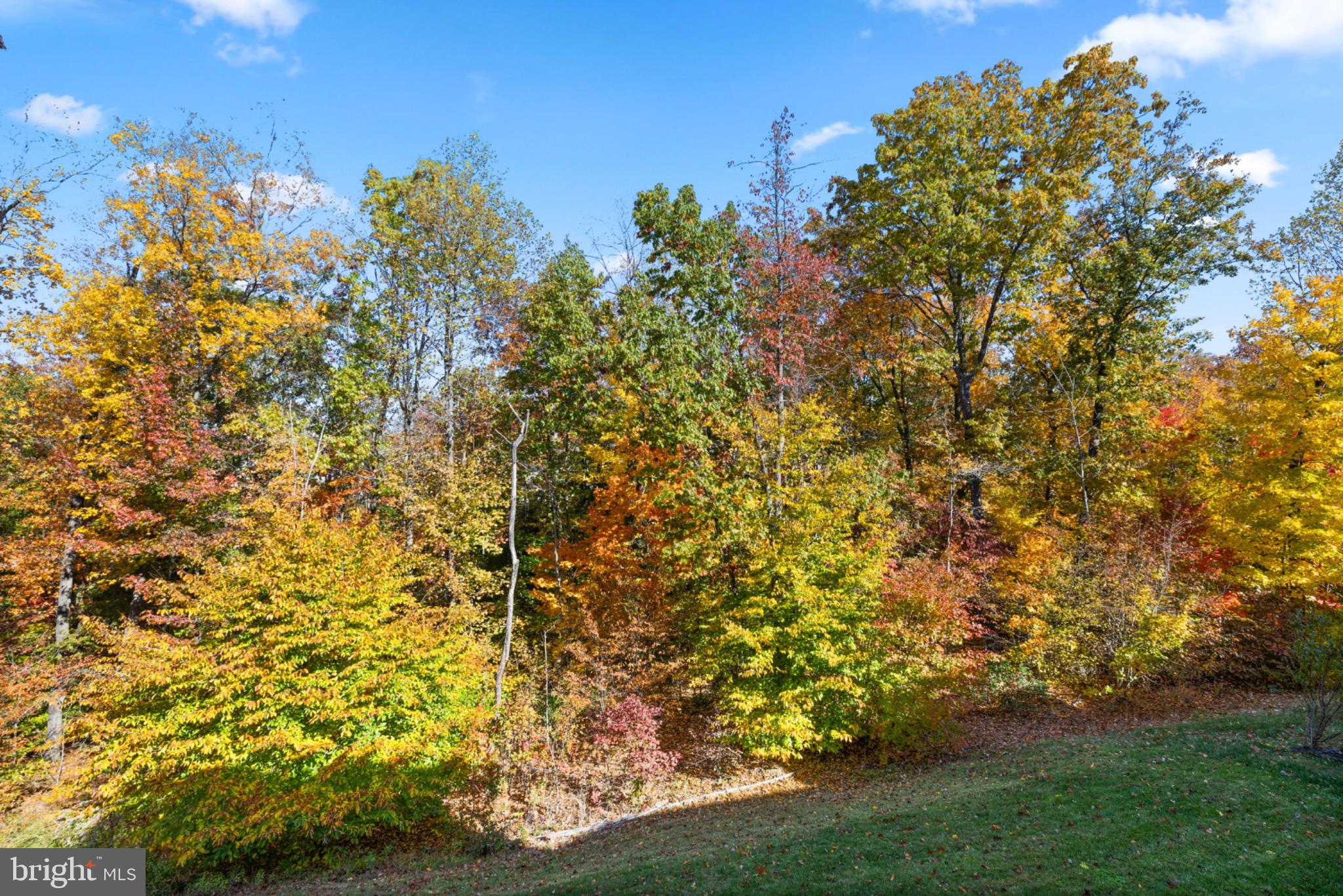 EMBREY MILL - Residential