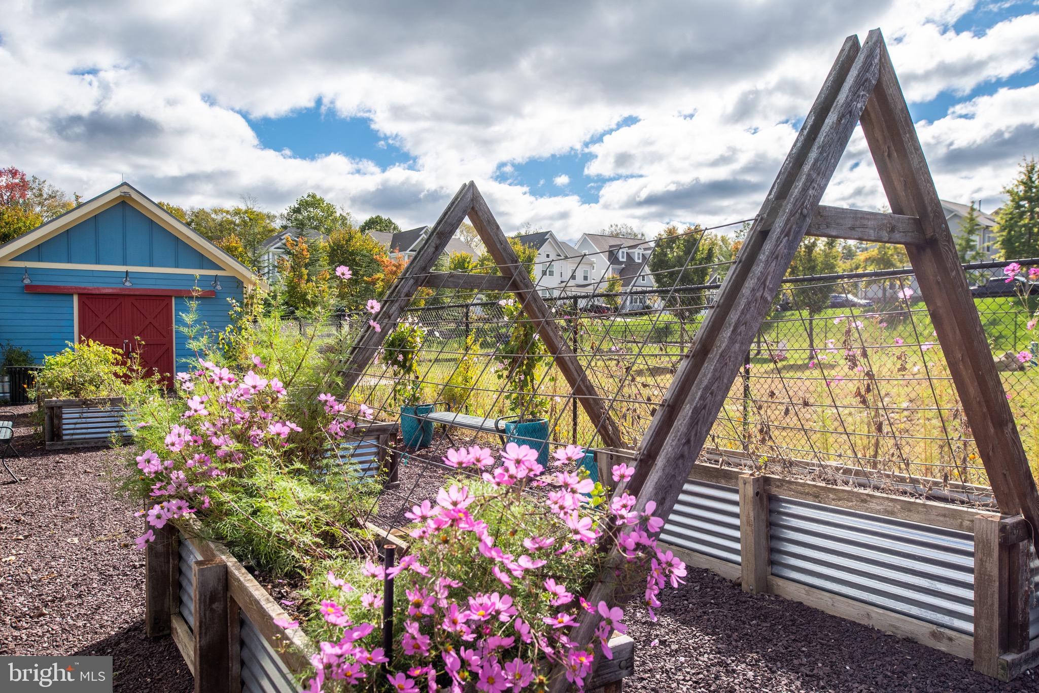 EMBREY MILL - Residential