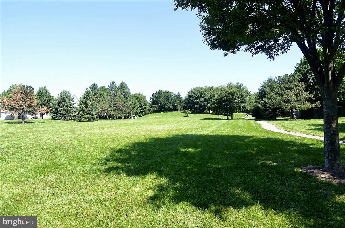 HOLLY POINTE - Residential