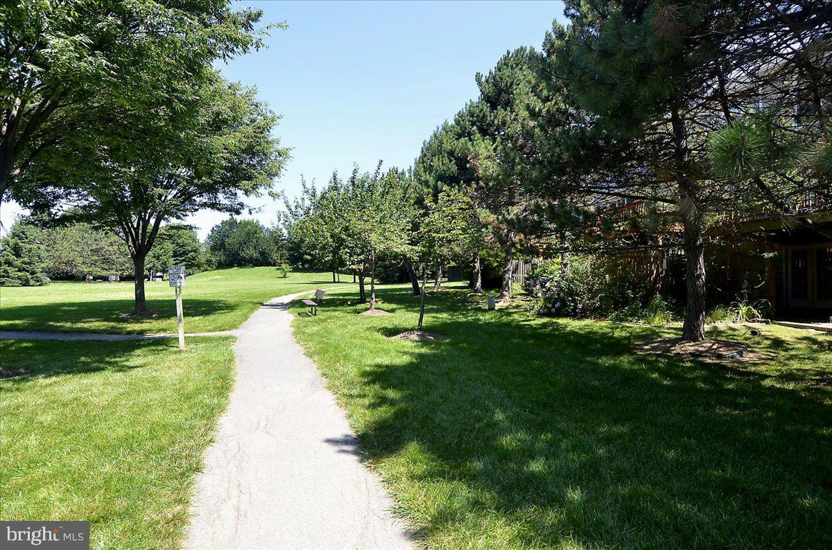 HOLLY POINTE - Residential