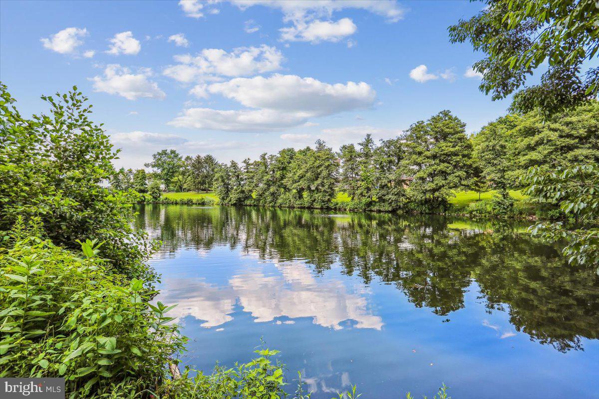HOLLY POINTE - Residential