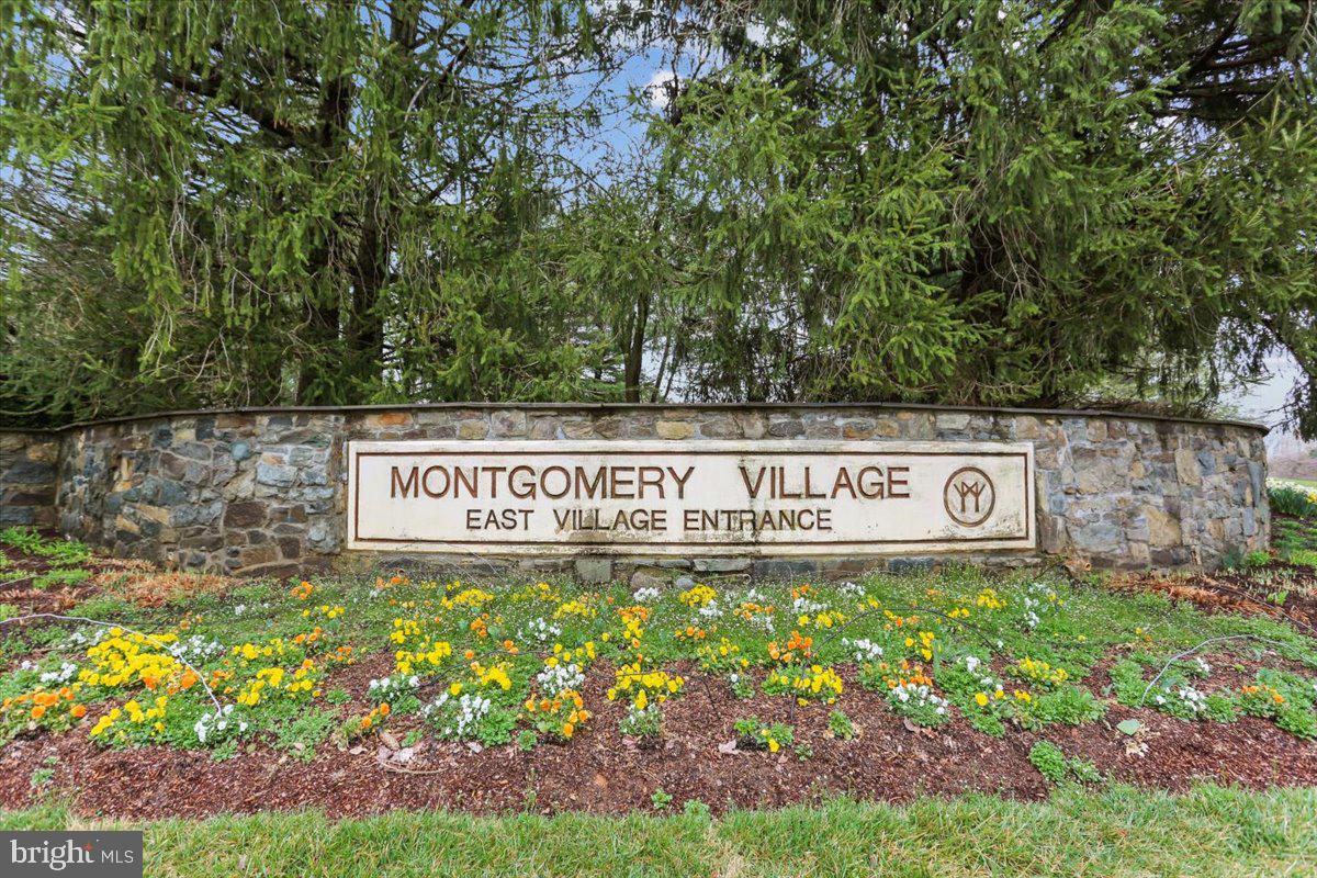 HOLLY POINTE - Residential