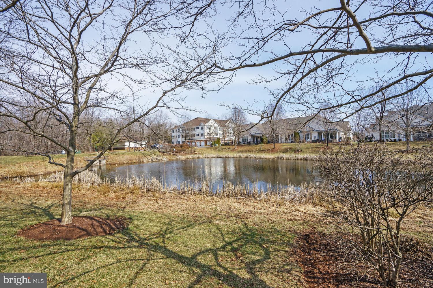 REGENCY AT DOMINION VALLEY - Residential