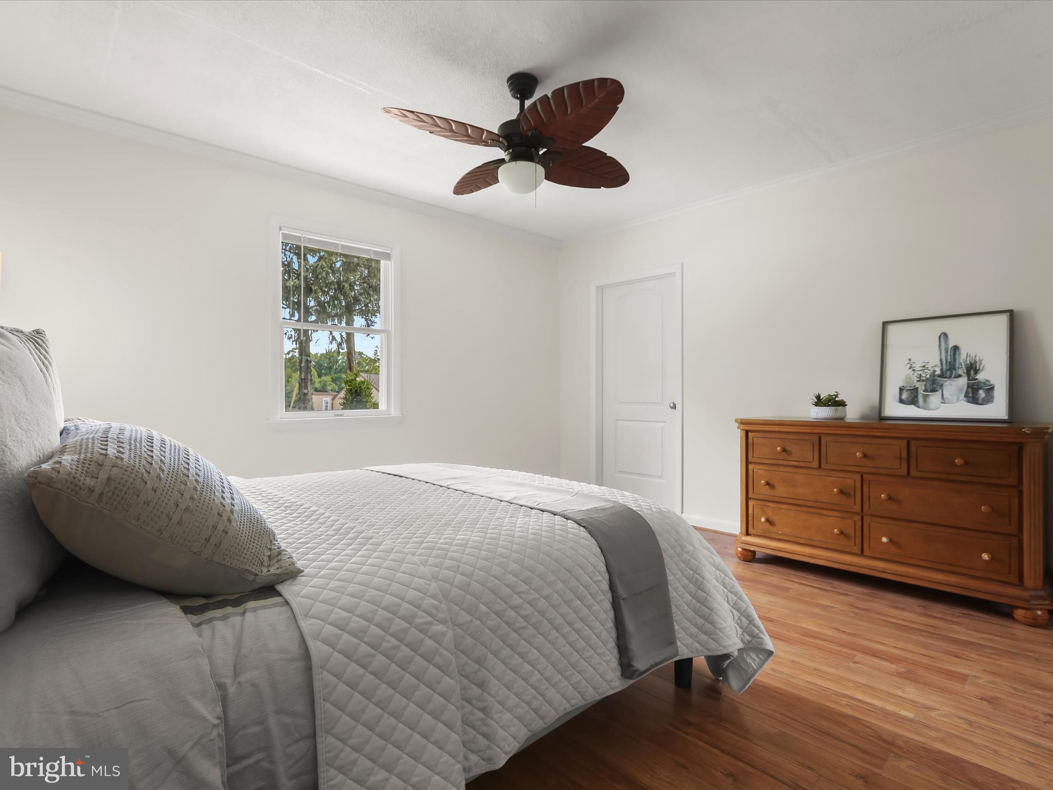 CEDAR BEACH - Residential