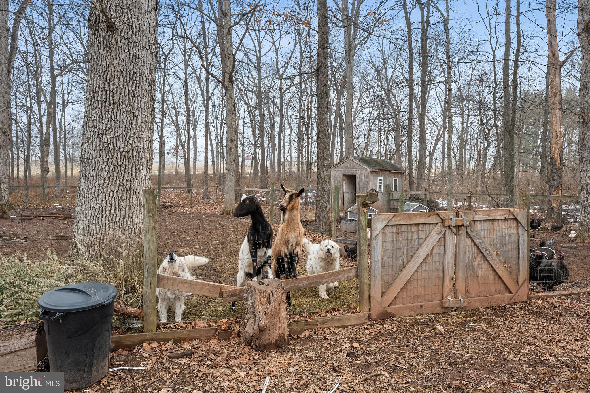 NONE AVAILABLE - Farm