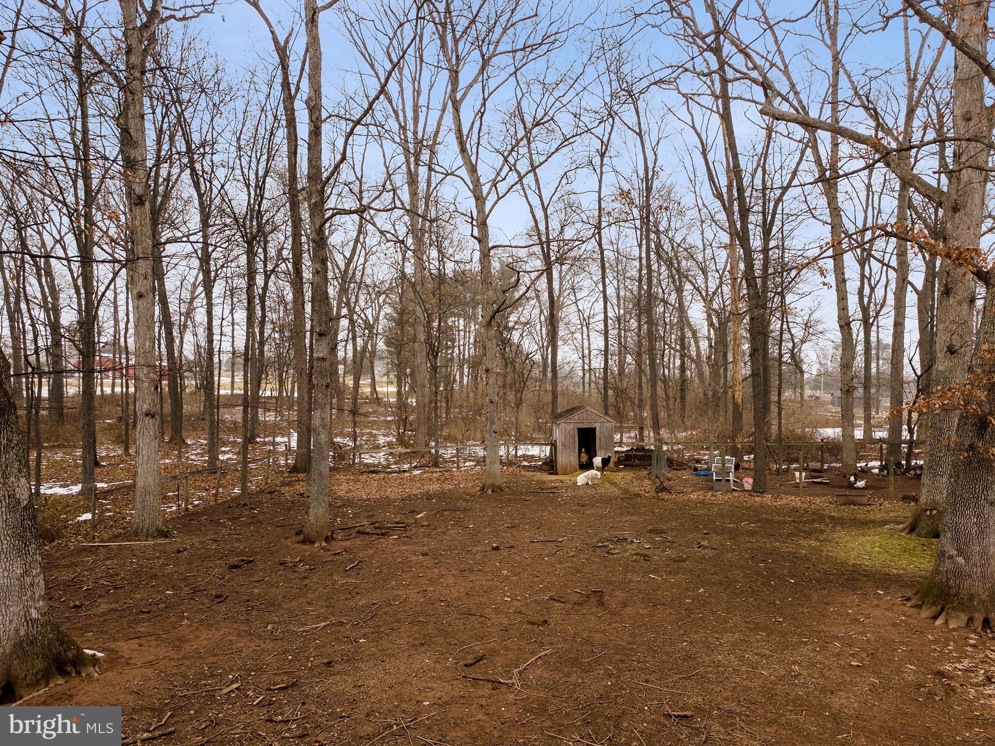 NONE AVAILABLE - Farm