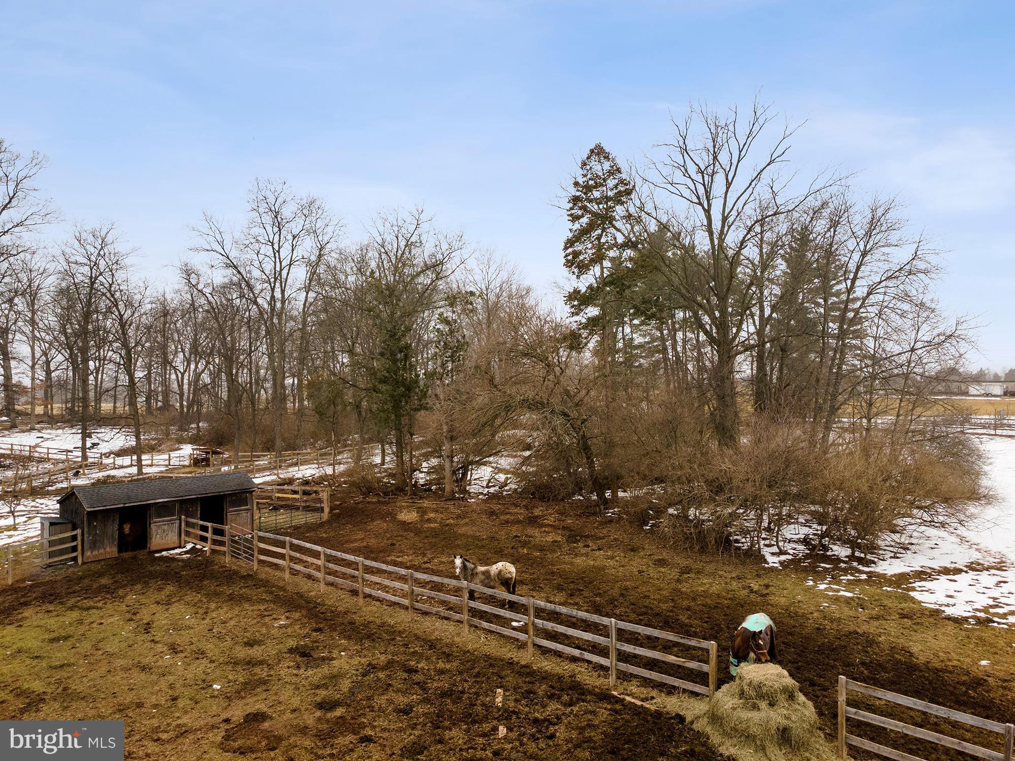 NONE AVAILABLE - Farm