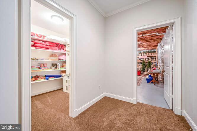 MCAULEY PARK - Residential