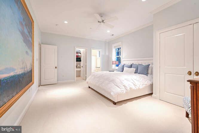 MCAULEY PARK - Residential