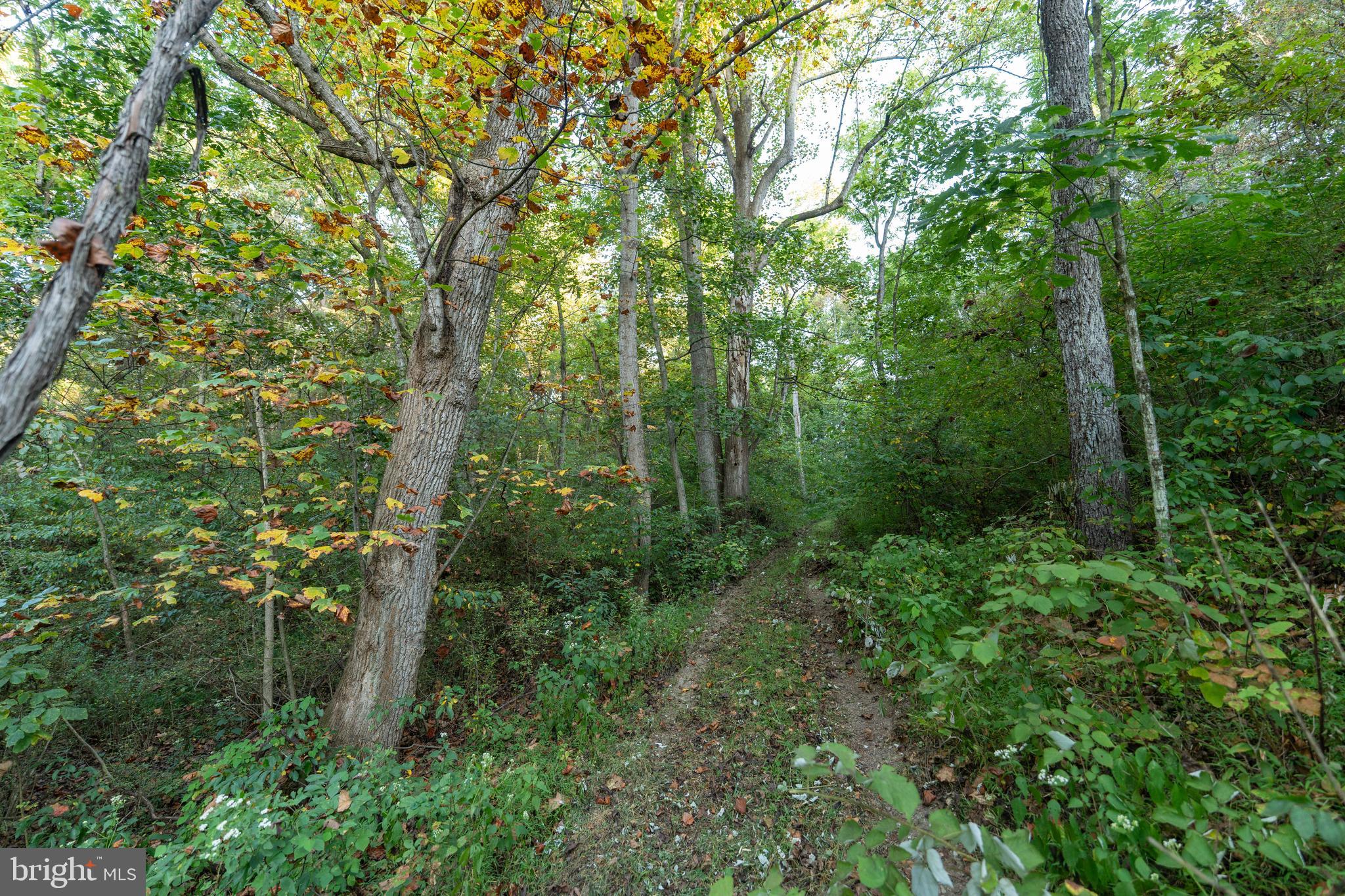 NEWPORT - Residential