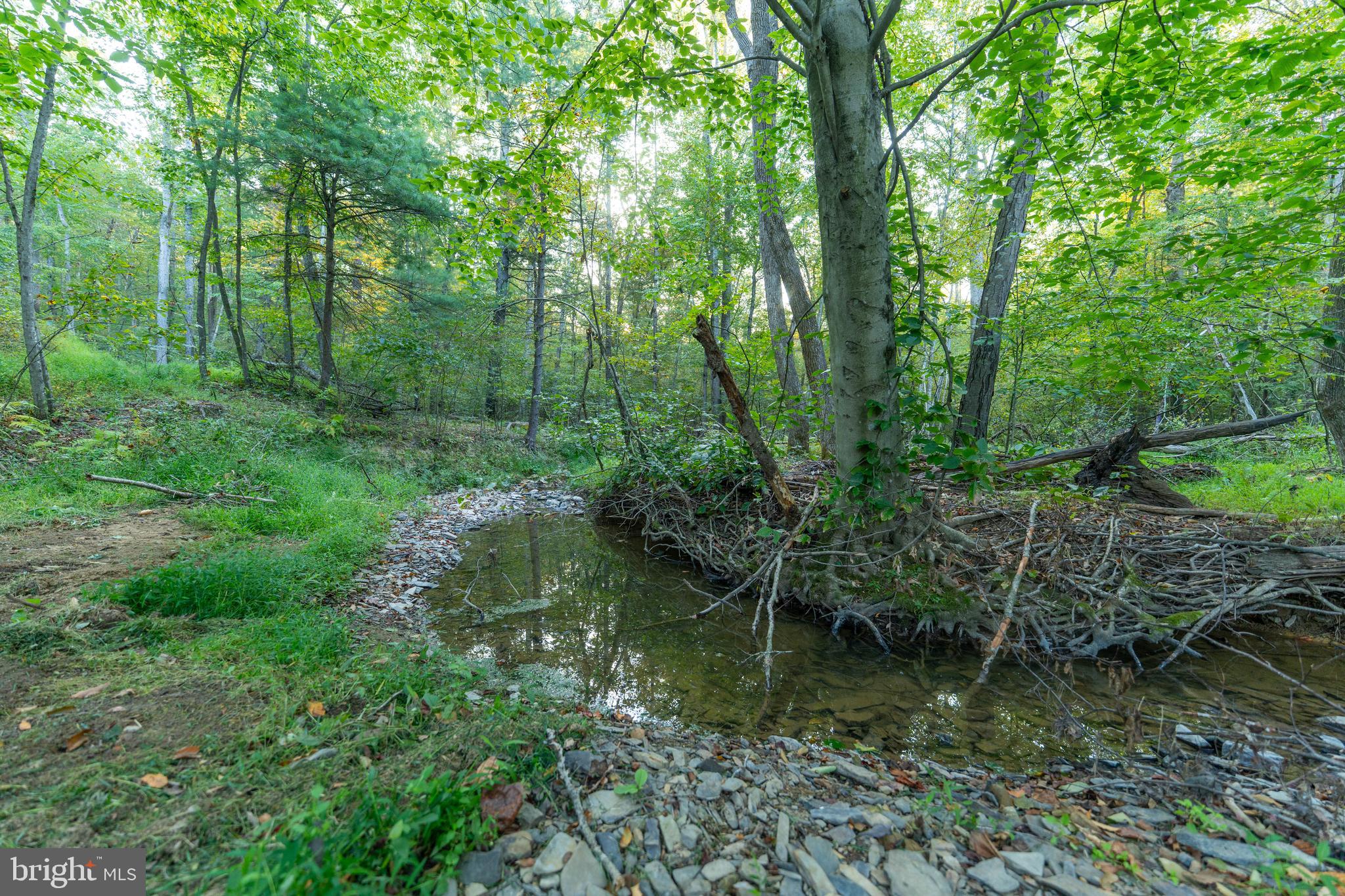 NEWPORT - Residential