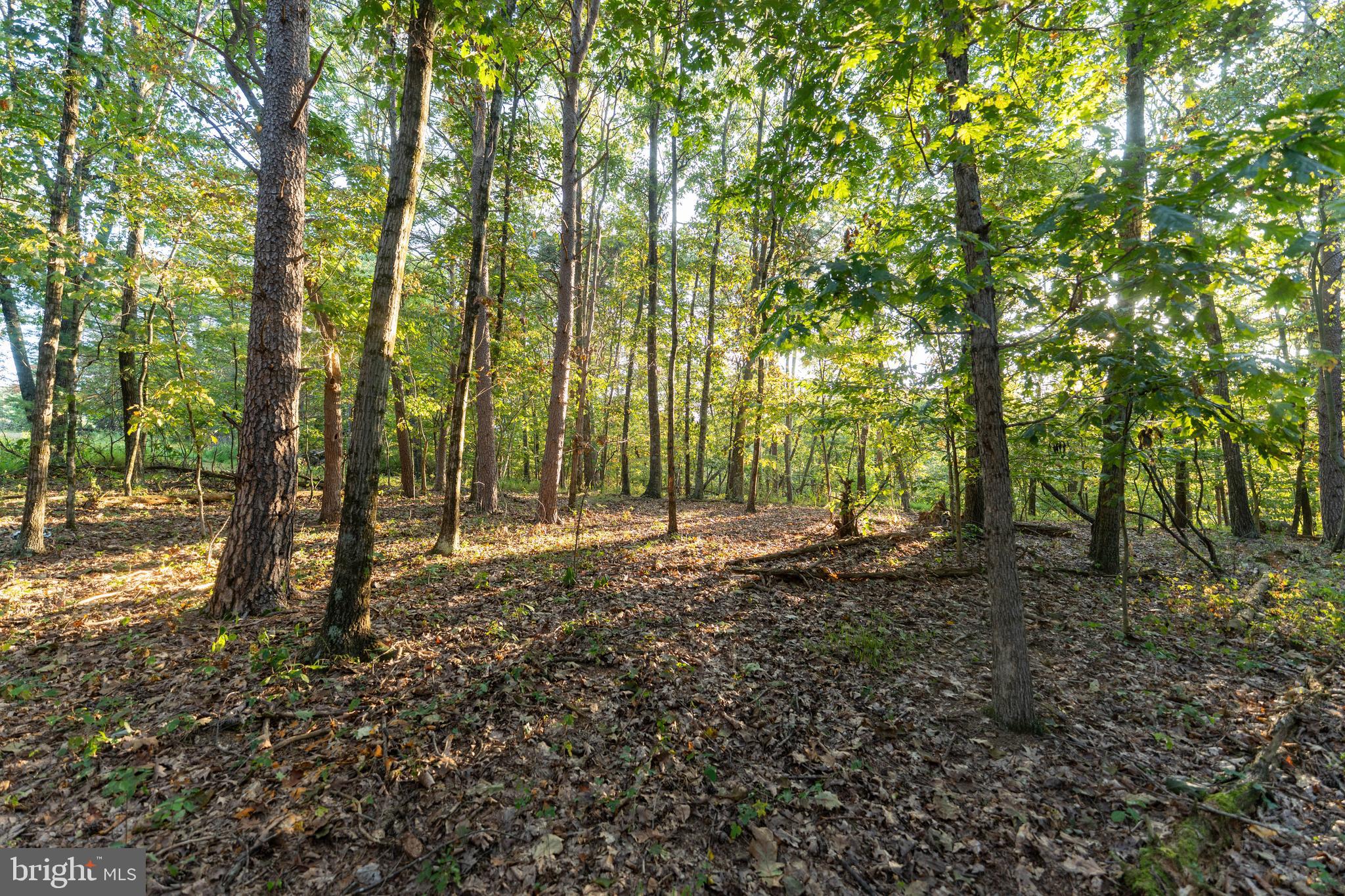 NEWPORT - Residential