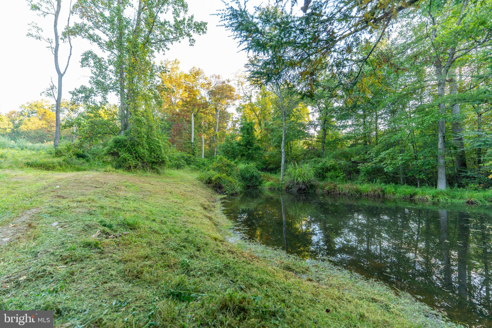 NEWPORT - Residential