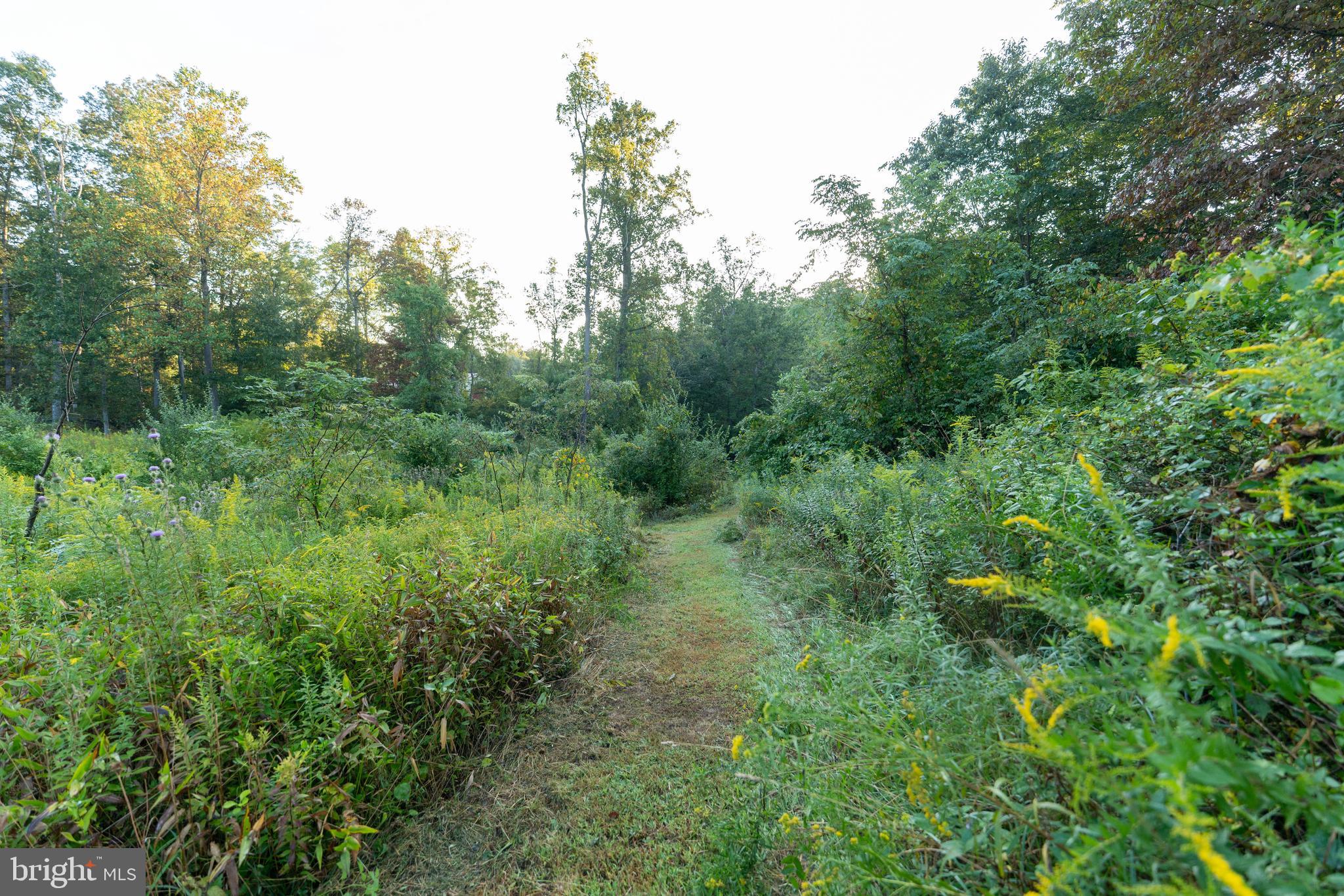 NEWPORT - Residential