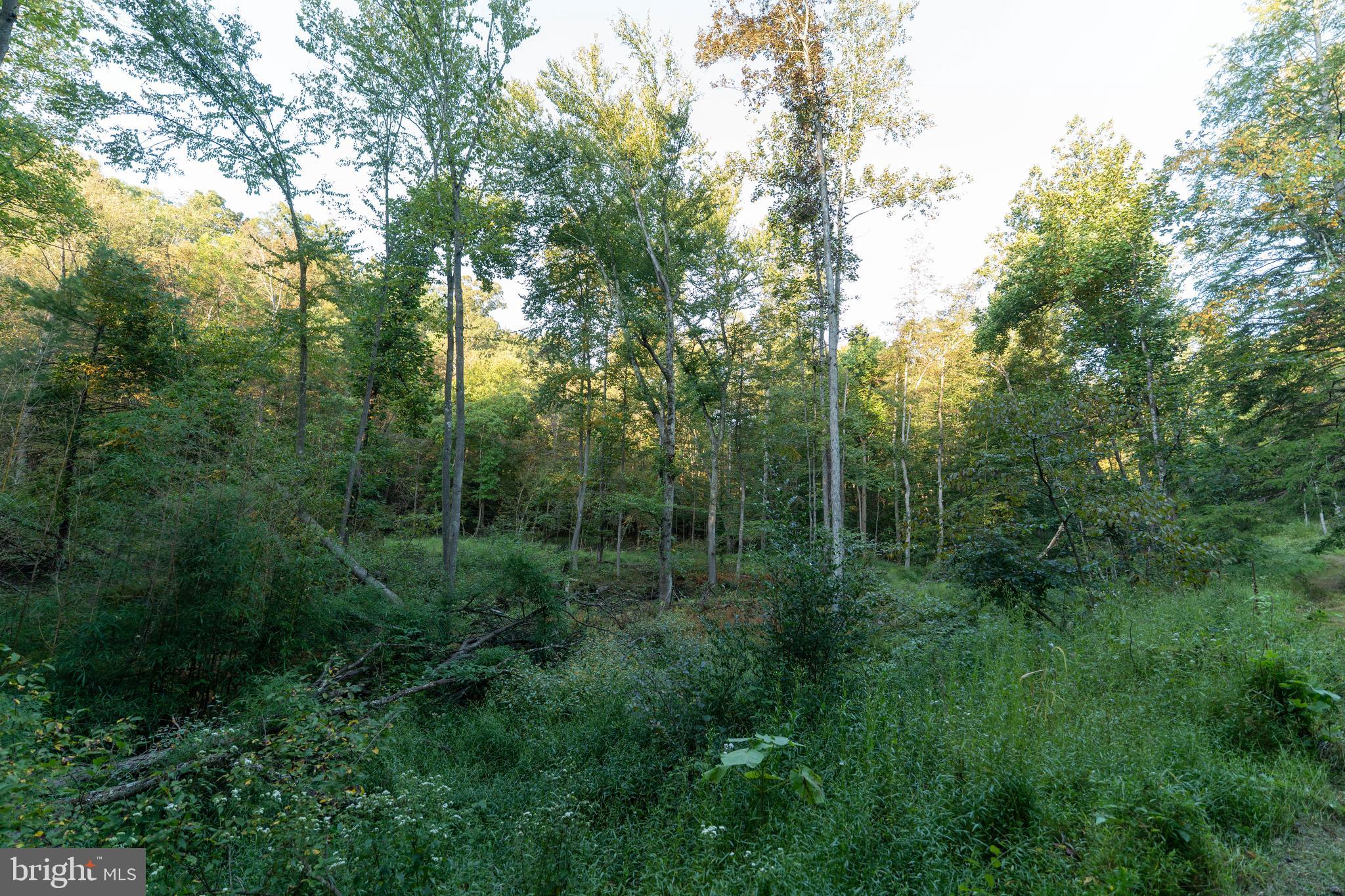 NEWPORT - Residential