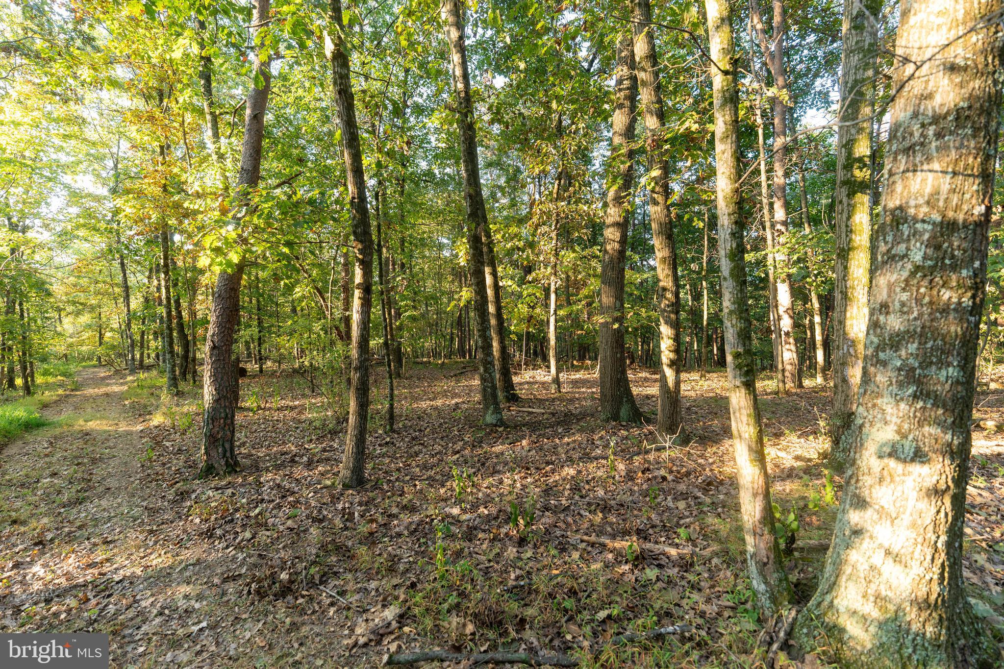 NEWPORT - Residential