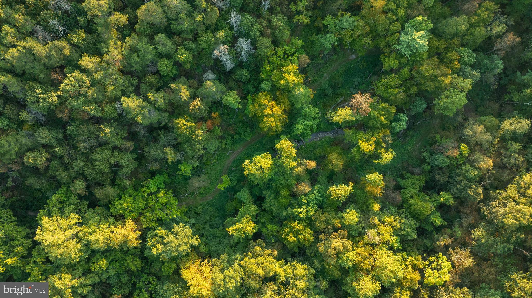 NEWPORT - Residential